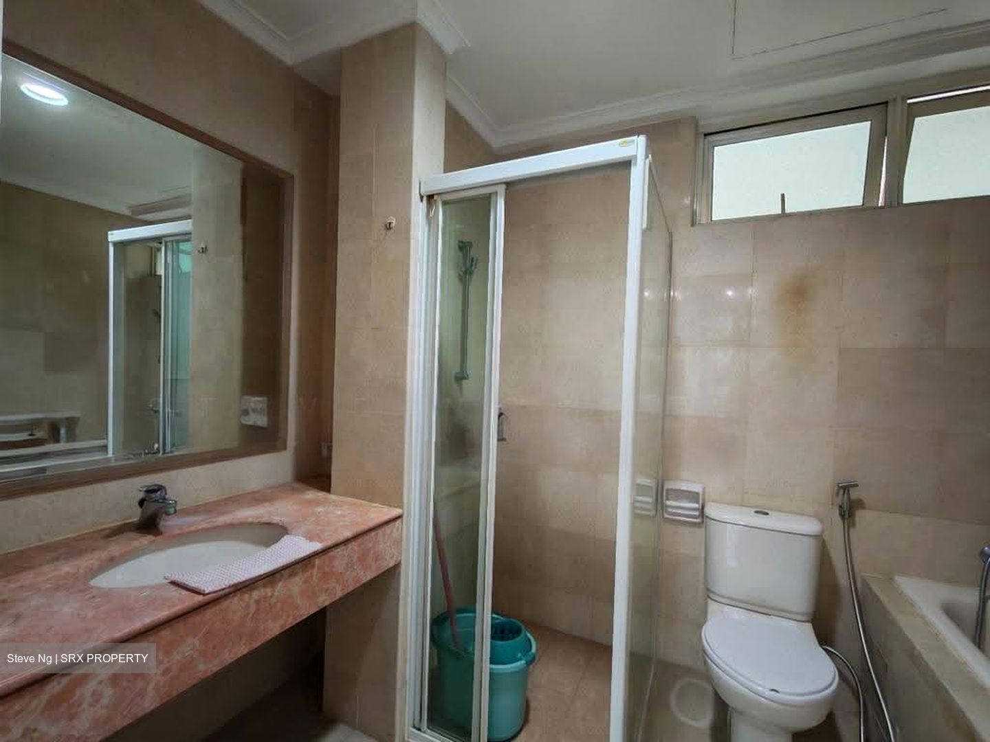Oleander Towers (D12), Apartment #631817761
